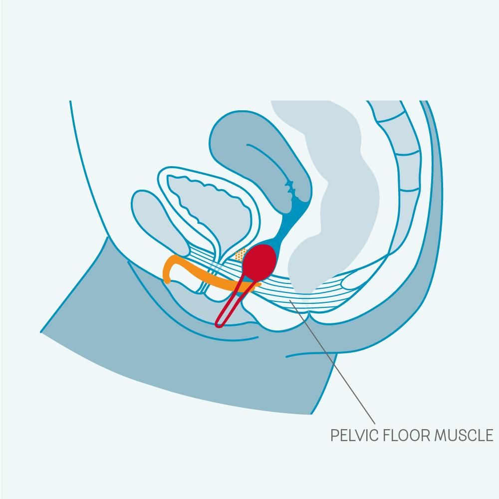 IntimateClouds